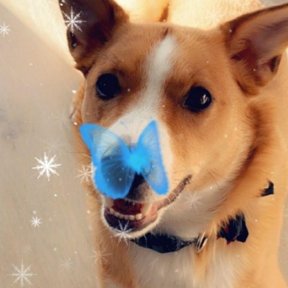 Meet your Posher, Raina - Picture 1 of 1